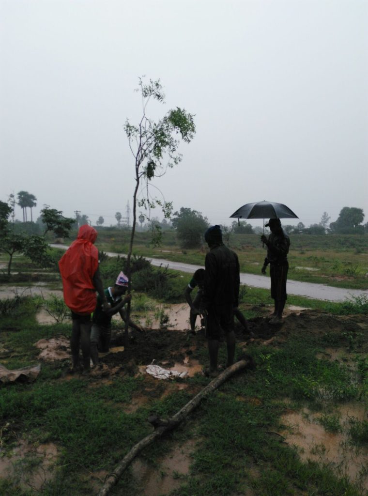 IMG-20151115-WA0009 - Copy